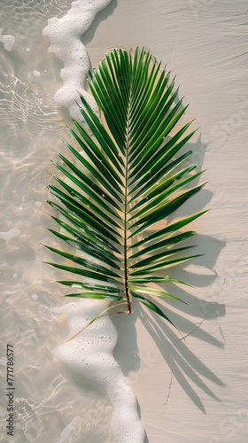 Beach With Palm Trees and Ocean