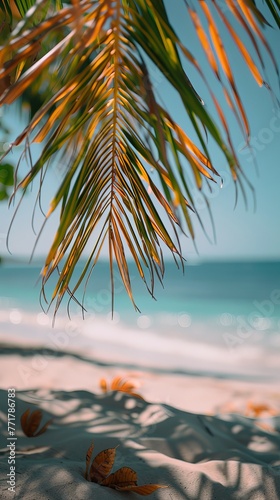 Beach View Under Palm Tree