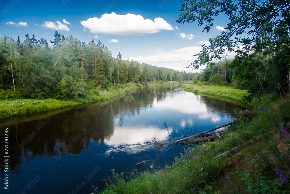 Summer River Valley Summer River Valley