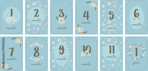 Monthly milestone anniversary cards for baby. Set of vintage vector kids congratulation postcards with numbers and daisies for a newborn. Print baby shower template.