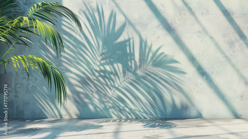 A palm tree casts a shadow on a wall. abstract minimal light blue background for product presentation. Shadow and light from windows on plaster wall.
