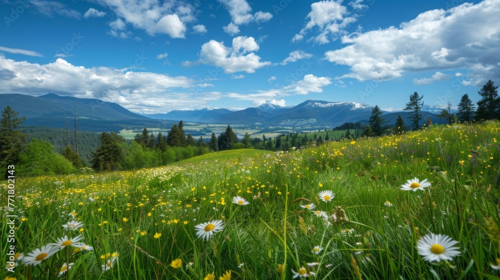 Grassy Field With Flowers and Mountains
