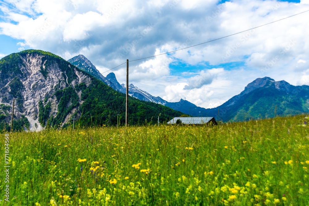 Fototapeta premium Alpine Landscape: Colorful Meadow with Varied Mountain Peaks