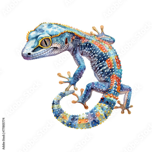 gecko vector illustration in watercolour style