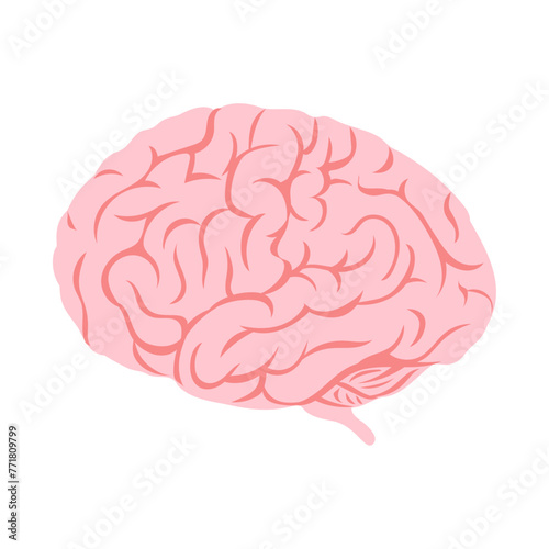ヒトの脳（横向き）。フラットなベクターイラスト。
Human brain (sideways). Flat vector illustration.