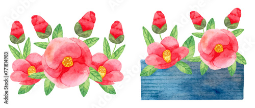 Composition of Japanese camellia with red flowers with leaves and in a vase. Botanical watercolor illustration. Simple stylized style. Hand drawing. Set of elements for cards, invitations. Vector