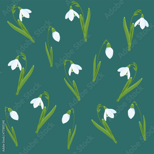 Spring pattern. Set of snowdrops. Spring composition of snowdrops. Spring flowers. Vector illustration on a turquoise background.
