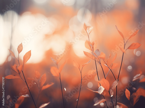 Immerse yourself in the serene ambiance of defocused leaves and bokeh. © Llama-World-studio
