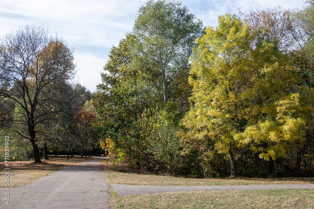 Naklejka premium Autumn view of South Park in city of Sofia, Bulgaria