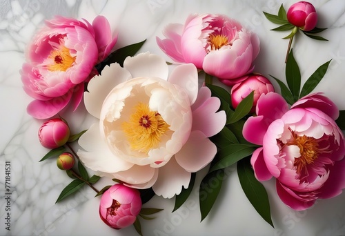 A Luxurious Display of Peonies on Marble