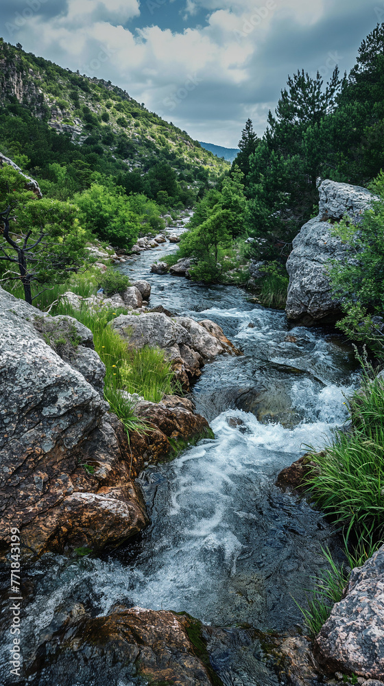 mountain river in the mountains