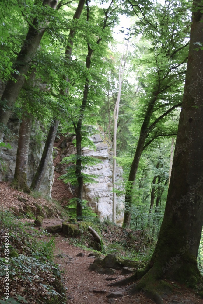 KUELSCHEIER, REGION MULLERTHAL. LUXEMBURGO. EUROPA.