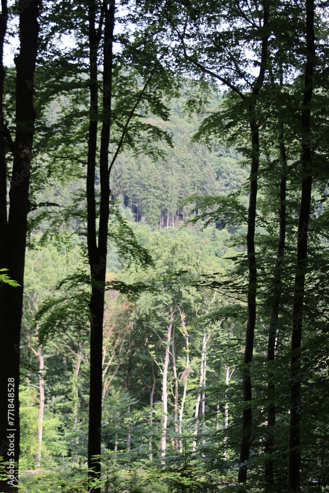 KUELSCHEIER, REGION MULLERTHAL. LUXEMBURGO. EUROPA.