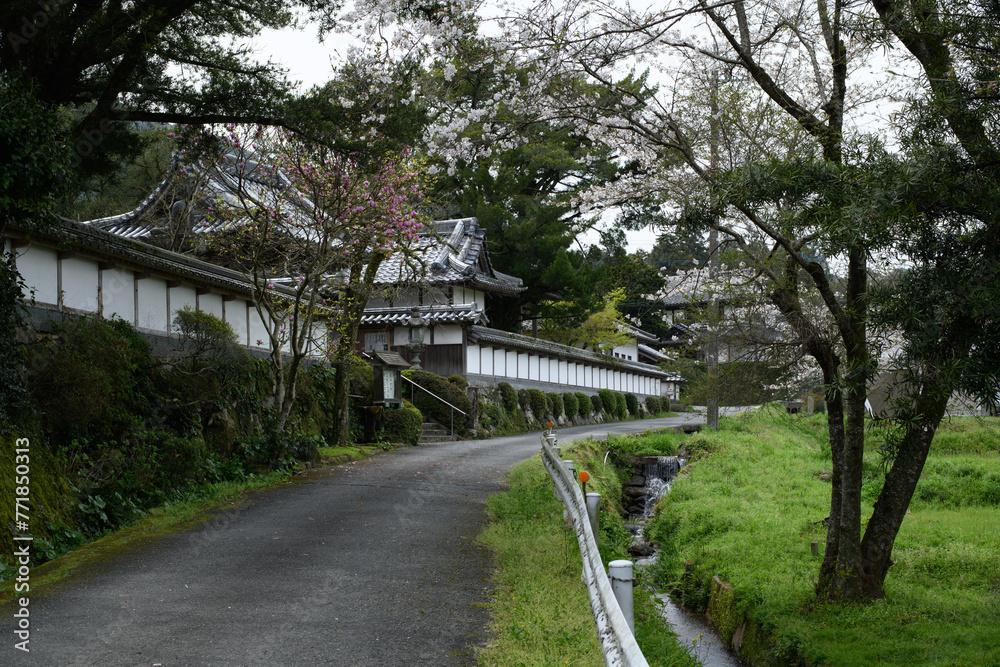 Fototapeta premium 街並み