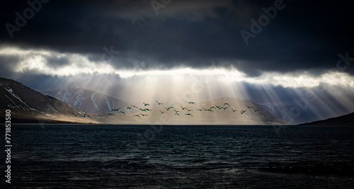 Westfjords #771853580