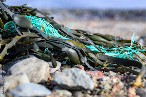 A bit of old green rope from a fishing net tangles in seaweed on a beach. Shallow depth of field, focus on the rope.