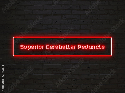superior cerebellar peduncle のネオン文字 photo