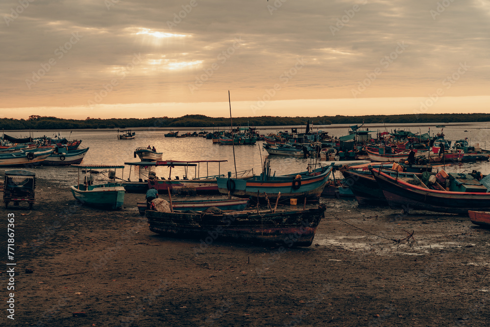 boats anchored in the Tumbes river Peru
