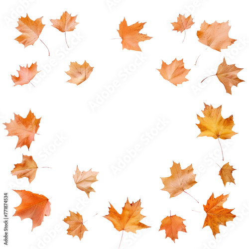 autumn leaves arranged in a circle on a transparent background