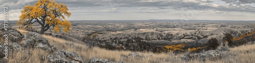 Expansive panoramic view of an autumn tree with golden leaves on a cliff overlooking a rugged landscape transitioning into winter, evoking a sense of wonder