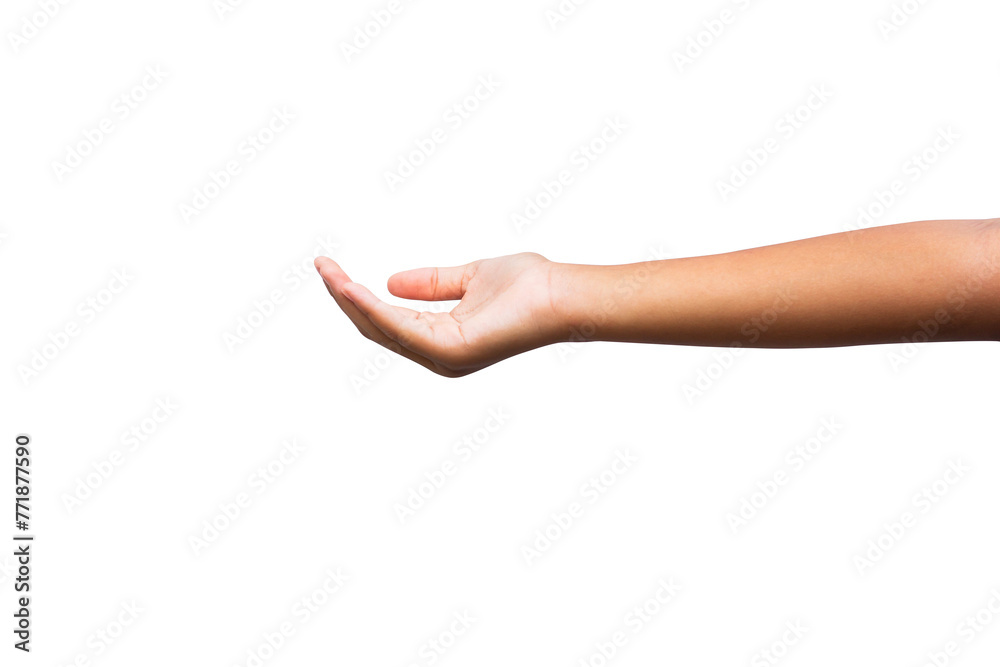 Woman's hands isolated on transparent background.