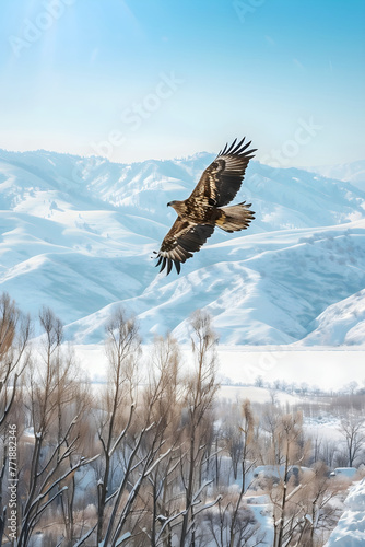 Eagle Over Frosty Kazakhstan Landscape: A Glimpse into Winter Wilderness