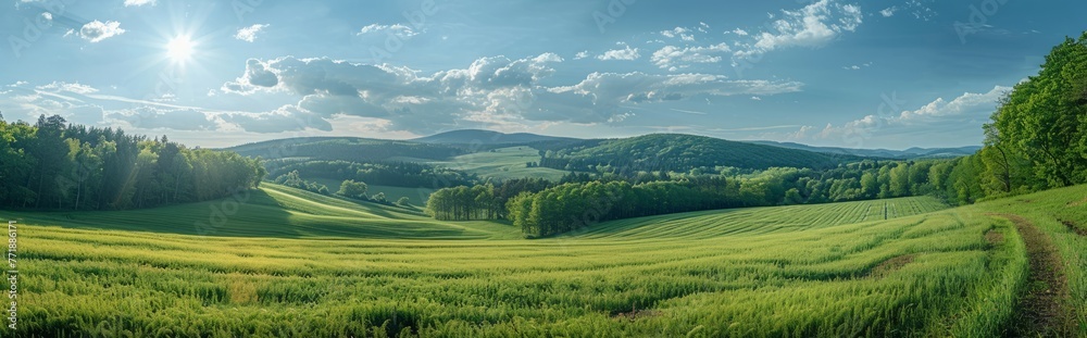 Beautiful spring landscape with meadow flowers and daisies in the grass. Natural summer panorama.