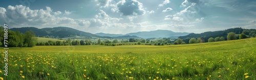 Beautiful spring landscape with meadow flowers and daisies in the grass. Natural summer panorama.
