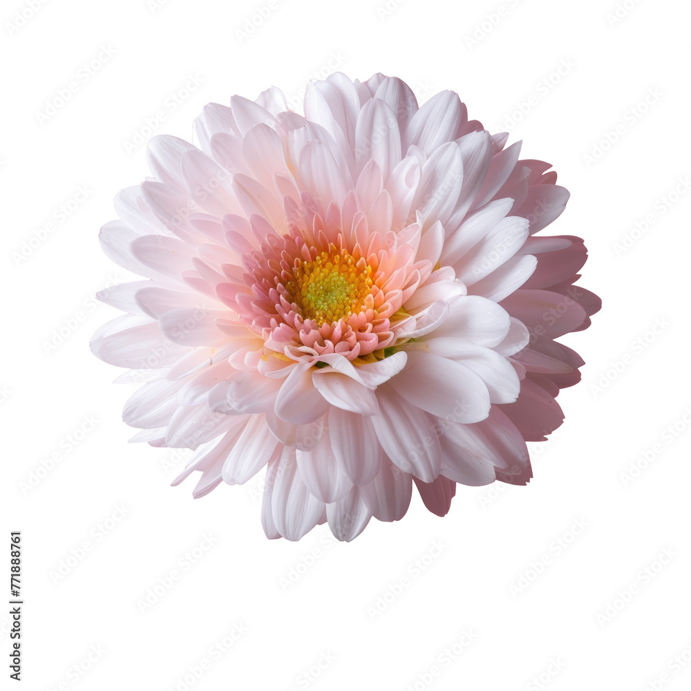 An artificial pink flower with a yellow center against a transparent background