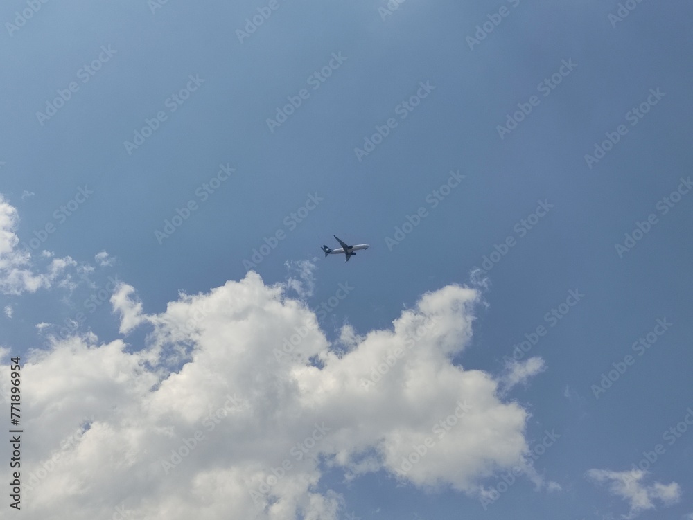 plane in the sky,avión en el cielo
plane in the sky,avión en el cielo