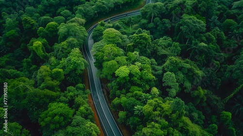 Aerial top view beautiful curve road on green forest in the rain © pasakorn