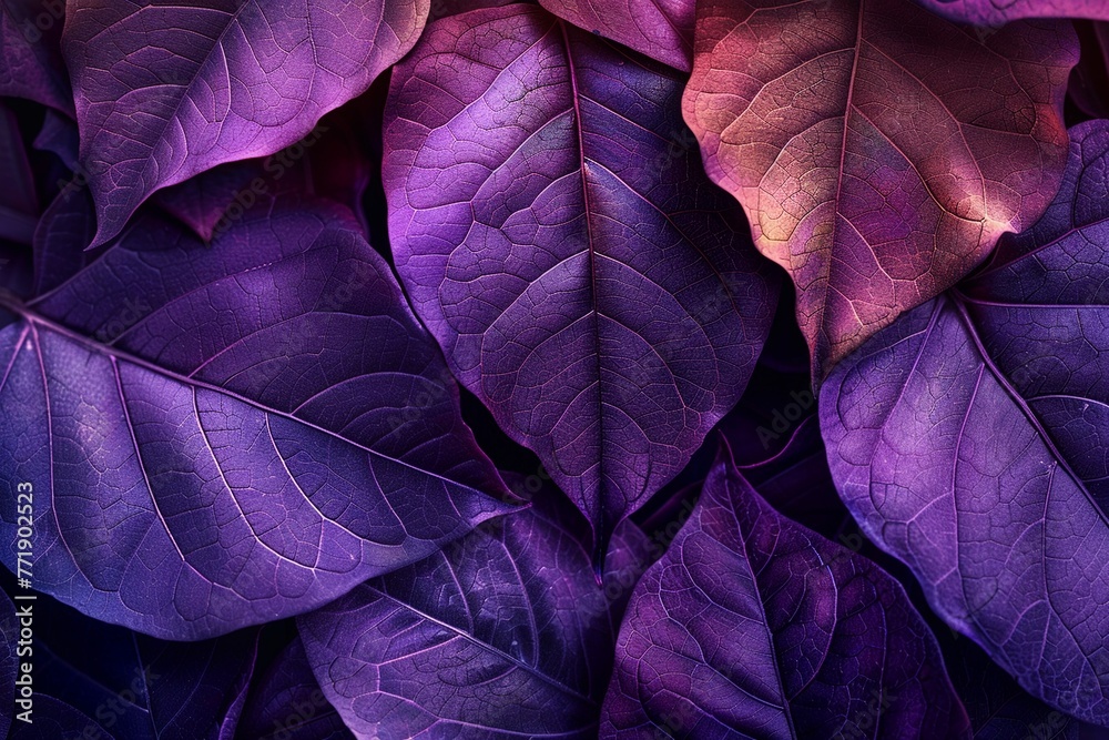 Photorealistic image of a leafs texture, random veins highlighted in vibrant colors ,3DCG,high resulution Photorealistic image of a leafs texture, random veins highlighted in vibrant colors ,3DCG,high resulution