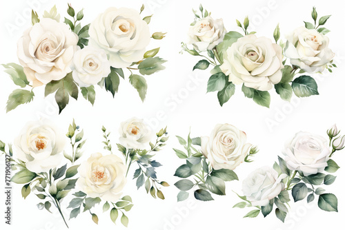 Watercolor white roses set isolated on white background. Clip arts for graphic resources. 