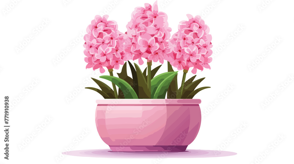 Vector hyacinth in pot on white background flat car