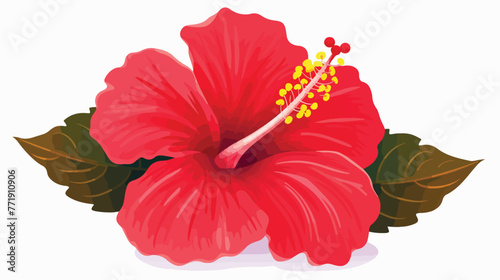 Vector hibiscus flower isolated on white background
