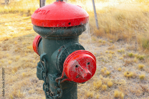 old red fire hydrant covered in cobwebs in grass