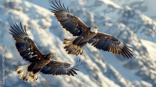 Eagles Soaring Above Snow-Capped Mountains. Two majestic eagles soar with grandeur against a backdrop of snow-covered mountain peaks under a clear blue sky. © Old Man Stocker