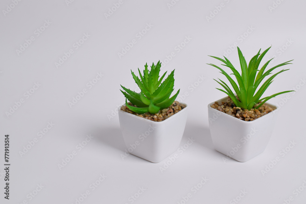 Plastic green plants in pots. Fake plant in a pot isolated on a white background. Interior decoration. Plastic green plants in pots. Fake plant in a pot isolated on a white background. Interior decoration.