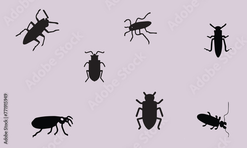 Illustration Blister Beetle Black Icon Design Vector EPS 10 And JPG