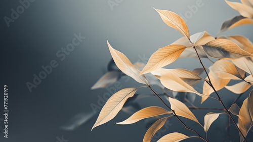 Background of abstract leaves  embodying a minimalist aesthetic 