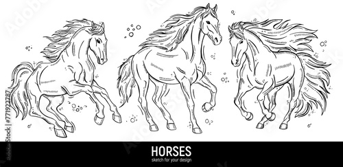 Set of hand-drawn horses sketches.