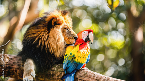 Close-up of lion and parrot