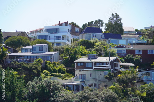 A hillside covered in houses in Auckland, New Zealand