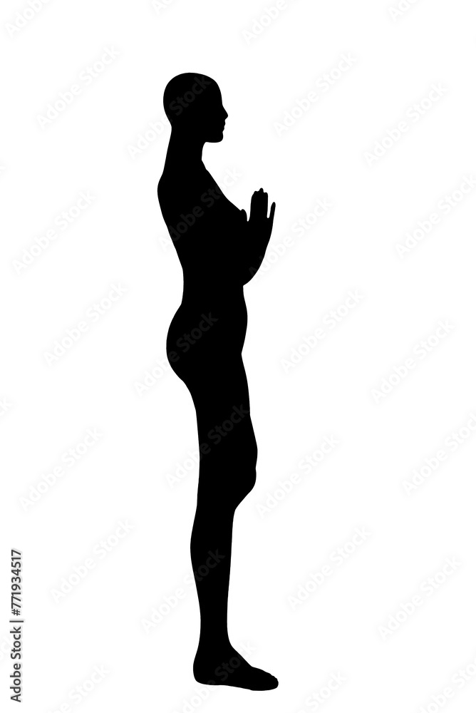 silhouette woman in yoga movements pilates body exercise vector image isolated on white transparent background
