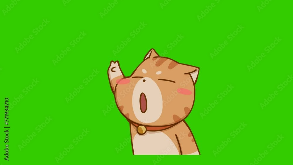 Come on animation, Cute cat on green screen Come on animation, Cute cat on green screen