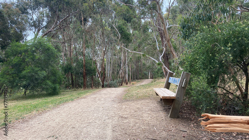 Australian bush hike track with wooden seat
