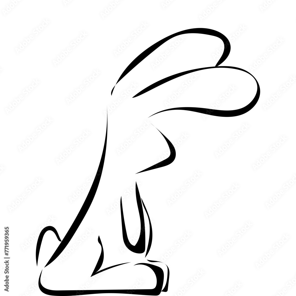 Obraz premium Hase