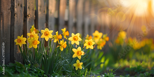 daffodils in the garden, generative ai