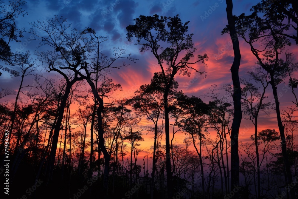 Silhouettes of trees contrast with colorful clouds in a sunset sky over a forest, evoking a sense of natures beauty and tranquility