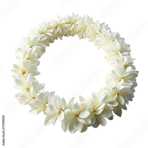 White lei flower in circle isolated on transparent background.